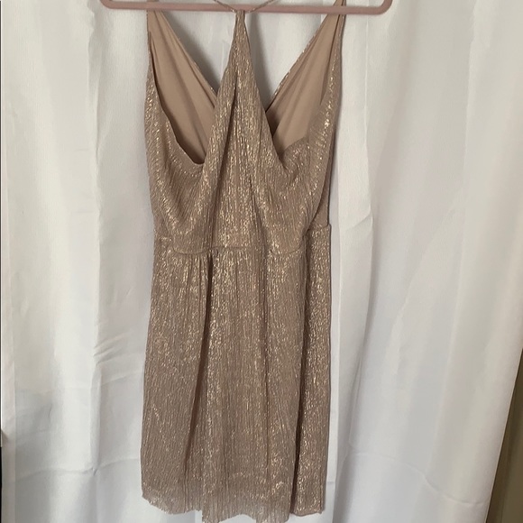 Express Dress - Picture 4 of 4